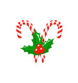 candy cane vector image