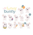 collection of cute little white baby bunny with ba vector image