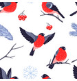winter seamless pattern with birds bullfinches vector image