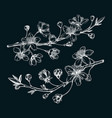 cherry blossom sketch in engraved style flowering vector image vector image