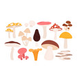 forest mushrooms set chanterelle mushroom vector image