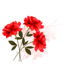 holiday background with three red roses vector image vector image