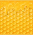 horizontal seamless pattern with honeycomb vector image