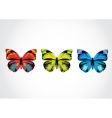 butterfly vector image vector image