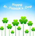 shamrock vector image