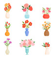beautiful bright garden flowers in ceramic vases vector image