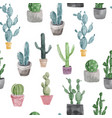 pattern of cactus and succulents vector image