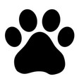 footprint dog vector image