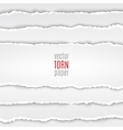 white torn paper vector image