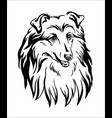 collie dog black contour portrait vector image vector image