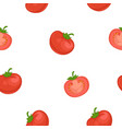 tomato cartoon seamless pattern on white vector image vector image