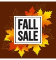 autumn seasonal banner design fall leaf vector image vector image