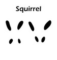 squirrel paw prints squirrel paw prints