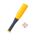 bat and ball for baseball vector image
