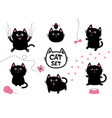black fat cat set bird butterfly bow pawprint vector image