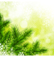 fir tree vector image vector image