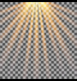 sun rays on transparent background vector image vector image