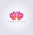 beautiful flower and peacock design clipart vector image