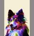 colorful sheltie dog isolated on geometric pop vector image vector image