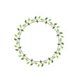 vintage floral round frames green decorative ivy vector image