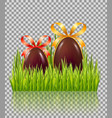 chocolate easter eggs with bow in green grass vector image