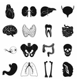 internal organs black simple icons vector image