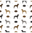 plott hound seamless pattern different poses coat vector image vector image