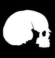 simple skull in profile vector image