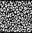seamless pattern leopard black and white skin vector image vector image