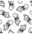 seamless pattern of skull with large teeth vector image
