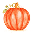 watercolor orange pumpkin vector image vector image