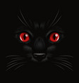 3d realistic red cats eye of a black cat vector image