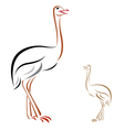 ostrich vector image
