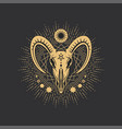 pentagram tarot occult symbol baphomet skull vector image