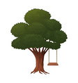 tree with a swing on white background isolated vector image
