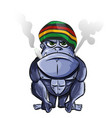 jamaican gorilla cartoon isolated on white vector image