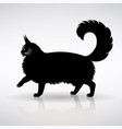 silhouette a standing cat side view vector image