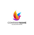 bird colorful concept template vector image vector image