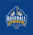modern professional baseball template logo design vector image vector image