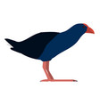 australian swamphen - side view - flat vector image vector image