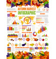 autumn harvest season infographic vector image vector image
