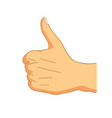cartoon hand in thumbs-up gesture on white vector image vector image