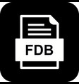 fdb file document icon vector image vector image