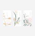 abstract art decoration with hand drawn flower vector image