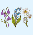 wild flowers with leaves set of wedding botanical vector image vector image