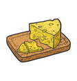 cheese on cutting board sketch vector image vector image