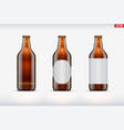 craft beer bottle set mockup vector image vector image