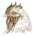 engraving rooster head vector image vector image