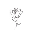 minimalist rose flower design continuous line vector image