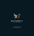 luxury butterfly logo design vector image vector image